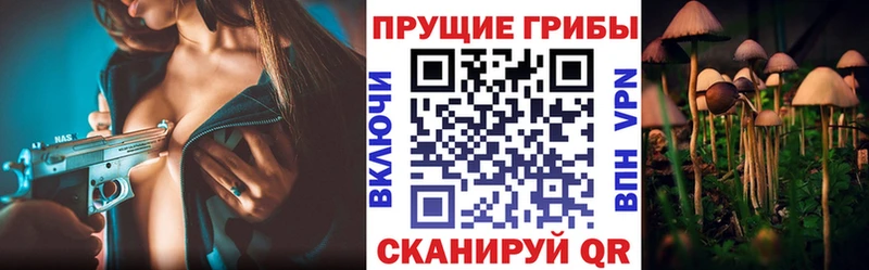 Псилоцибиновые грибы прущие грибы ОМГ ОМГ рабочий сайт Юрга купить наркотики цена